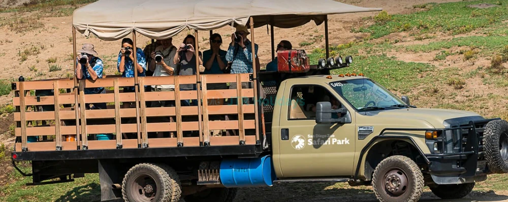 San Diego Zoo Safari Park - Image 3 of 5