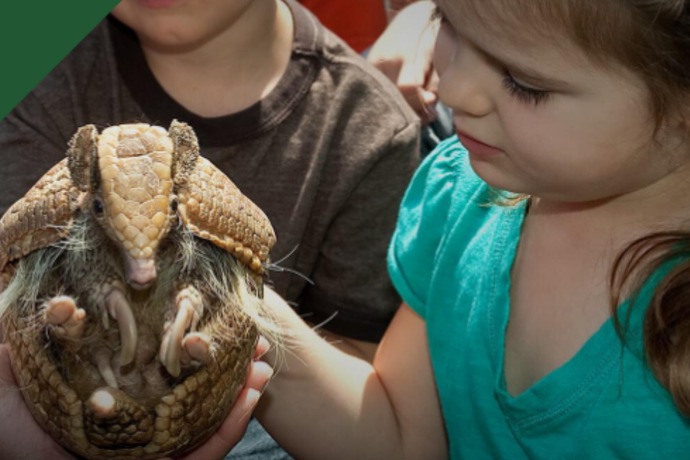 San Diego Zoo Safari Park - Image 6 of 9