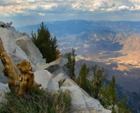 Palm Springs Aerial Tramway - Scenic Mountain Adventure - JTR Holidays