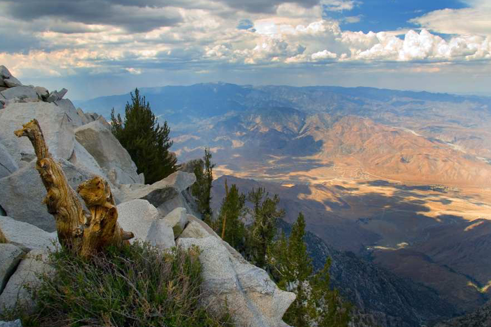 棕榈泉空中缆车 - 图片 5 的 5