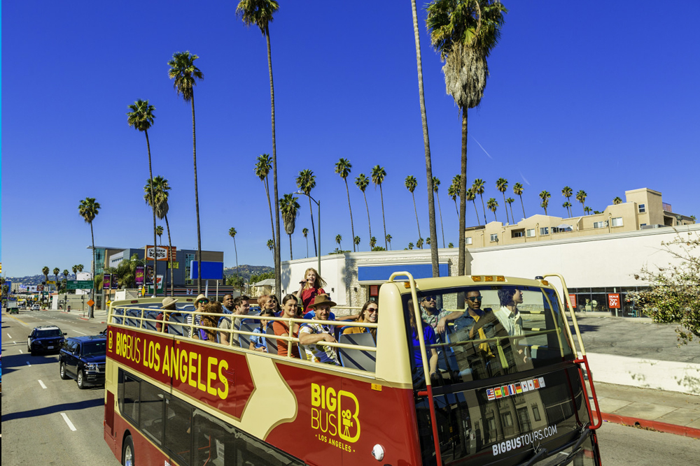 Big Bus Los Angeles + Celebrity Homes Tour - Esplora Los Angeles comodamente con Big Bus Tours! Salta su e giù nelle attrazioni principali come Hollywood, Beverly Hills e il Santa Monica Pier. Goditi viste mozzafiato da un autobus a due piani scoperto e scopri la ricca storia della città con una guida audio multilingue. Perfetto per visitare la città al tuo ritmo, Big Bus Tours offre un modo indimenticabile di vivere i luoghi più iconici di LA. Big Bus Los Angeles + Celebrity Homes Tour - Immagine 4 di 5