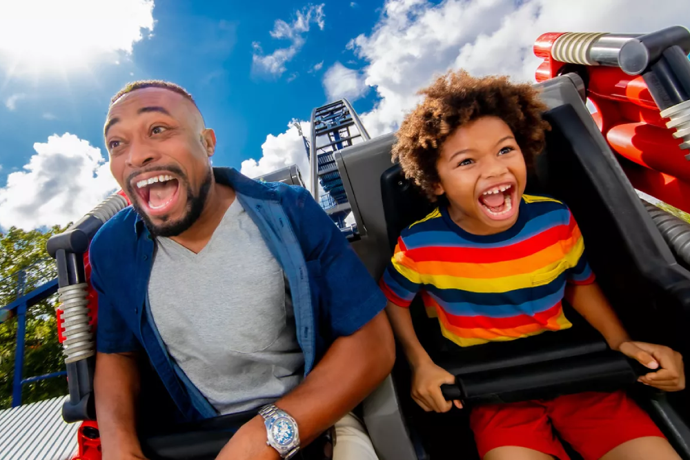 LEGOLAND California Ticket - Image 8 of 9