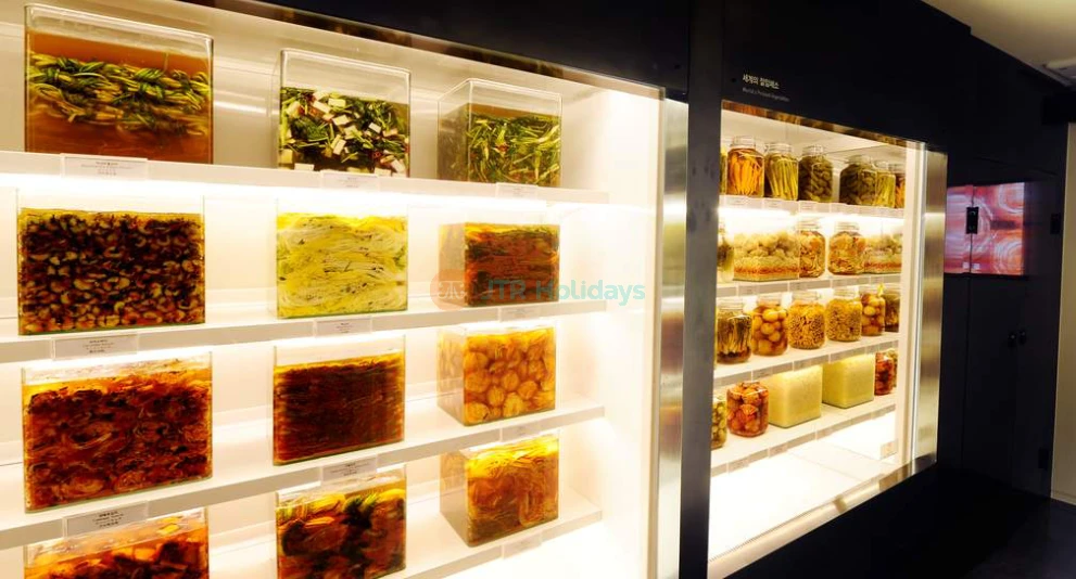 Museum Kimchikan - Discover the World of Kimchi in Seoul - JTR Holidays - Image 1 of 5