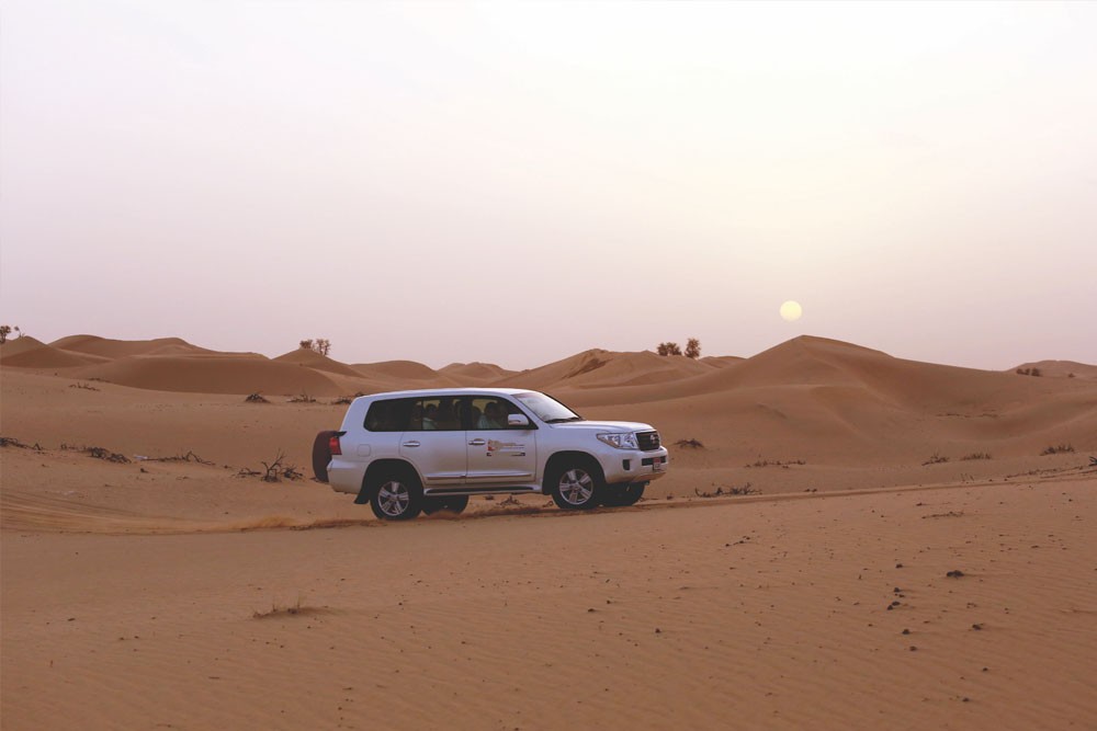 Morning Desert Safari Abu Dhabi - Image 6 of 8