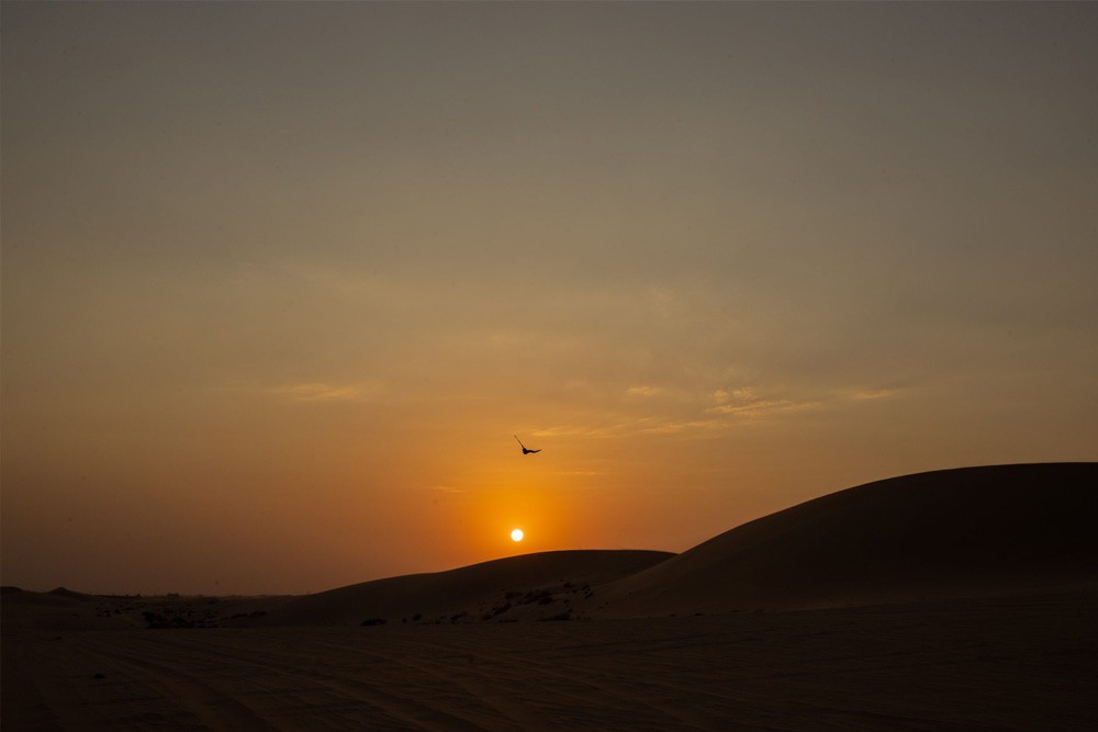 Morning Desert Safari Abu Dhabi - Camel Ride & Sand Boarding - JTR Holidays