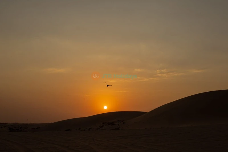 Morning Desert Safari Abu Dhabi - Camel Ride & Sand Boarding - JTR Holidays - Image 7 of 8