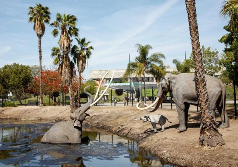 La Brea Tar Pits and Museum