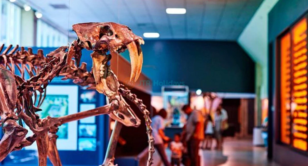 La Brea Tar Pits and Museum - Discover Prehistoric Los Angeles - JTR Holidays - Image 1 of 5