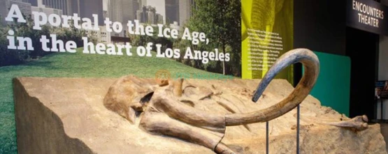 La Brea Tar Pits and Museum - Discover Prehistoric Los Angeles - JTR Holidays