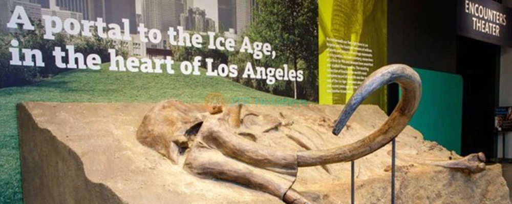 La Brea Tar Pits and Museum - Discover Prehistoric Los Angeles - JTR Holidays - Image 3 of 5