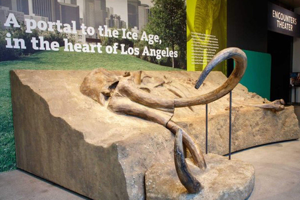 La Brea Tar Pits and Museum - Step back in time at the La Brea Tar Pits and Museum in Los Angeles, a fascinating site showcasing prehistoric fossils of mammoths, saber-toothed cats, and more. Witness active excavation sites and learn about ongoing scientific discoveries. Explore interactive exhibits that reveal life in ancient Los Angeles. Perfect for families and curious minds. La Brea Tar Pits and Museum - Image 3 of 5