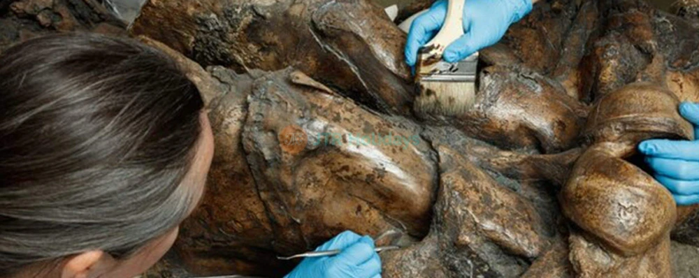 La Brea Tar Pits and Museum - Discover Prehistoric Los Angeles - JTR Holidays - Image 4 of 5