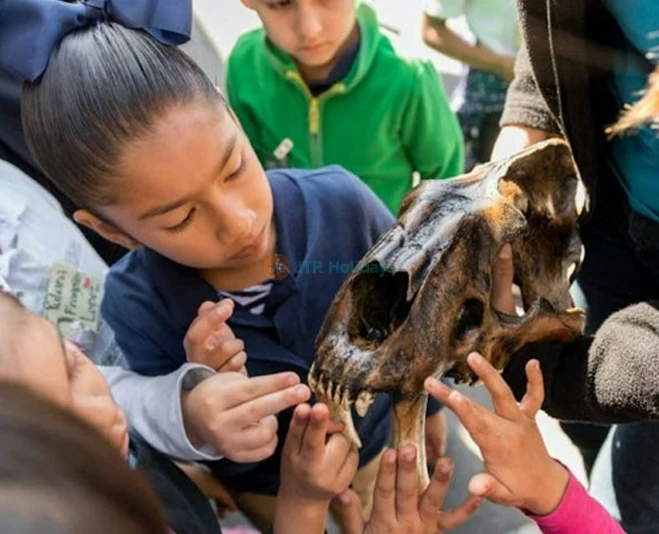 La Brea Tar Pits and Museum - Discover Prehistoric Los Angeles - JTR Holidays - Image 5 of 5