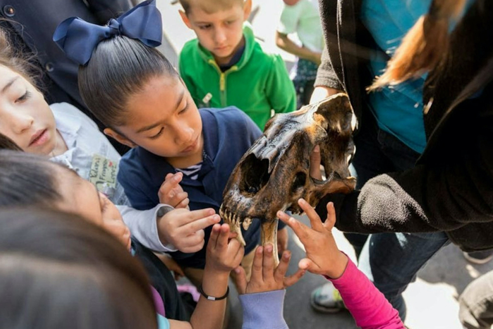 La Brea Tar Pits and Museum - Image 5 of 7
