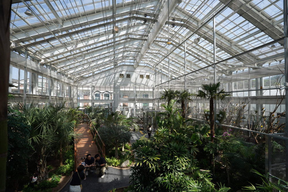 Gyeonggi Begonia Bird Park - Image 3 of 5
