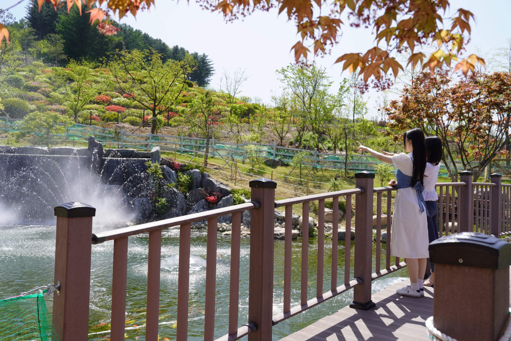 Gyeonggi Begonia Bird Park - Image 6 of 7
