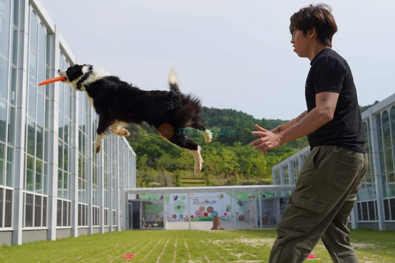 Parque de Aves Begonia de Gyeonggi - Image 7 of 7