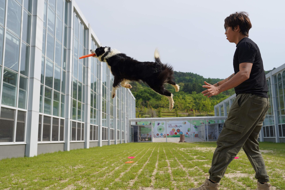Gyeonggi Begonia Bird Park - Image 7 of 7
