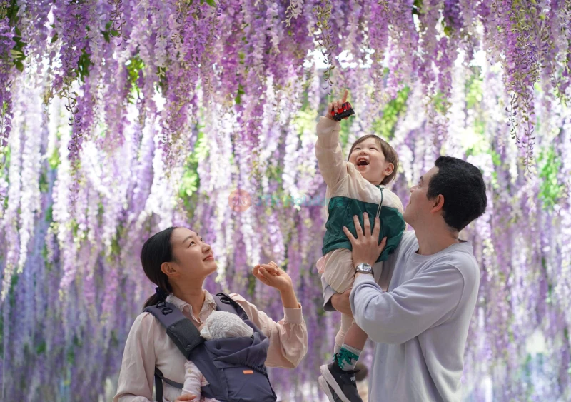 Gyeonggi Begonia Bird Park