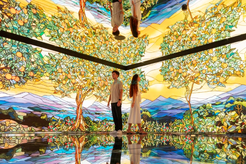 White Rabbit The Off Museum of Barcelona - Unique Art & Immersive Exhibitions - JTR Holidays - Image 6 of 8