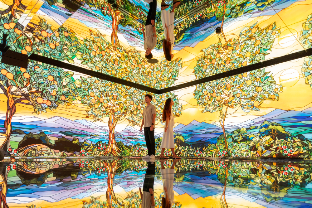 White Rabbit The Off Museum of Barcelona - Image 6 of 8