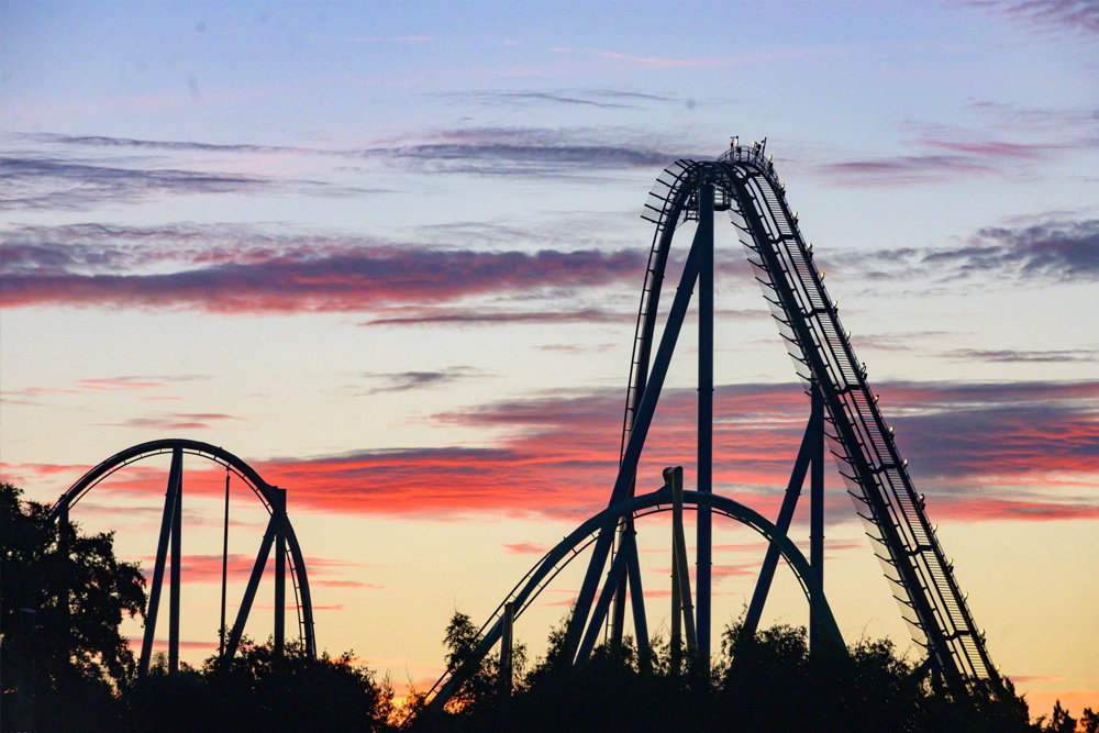 SeaWorld Orlando - Image 5 of 5