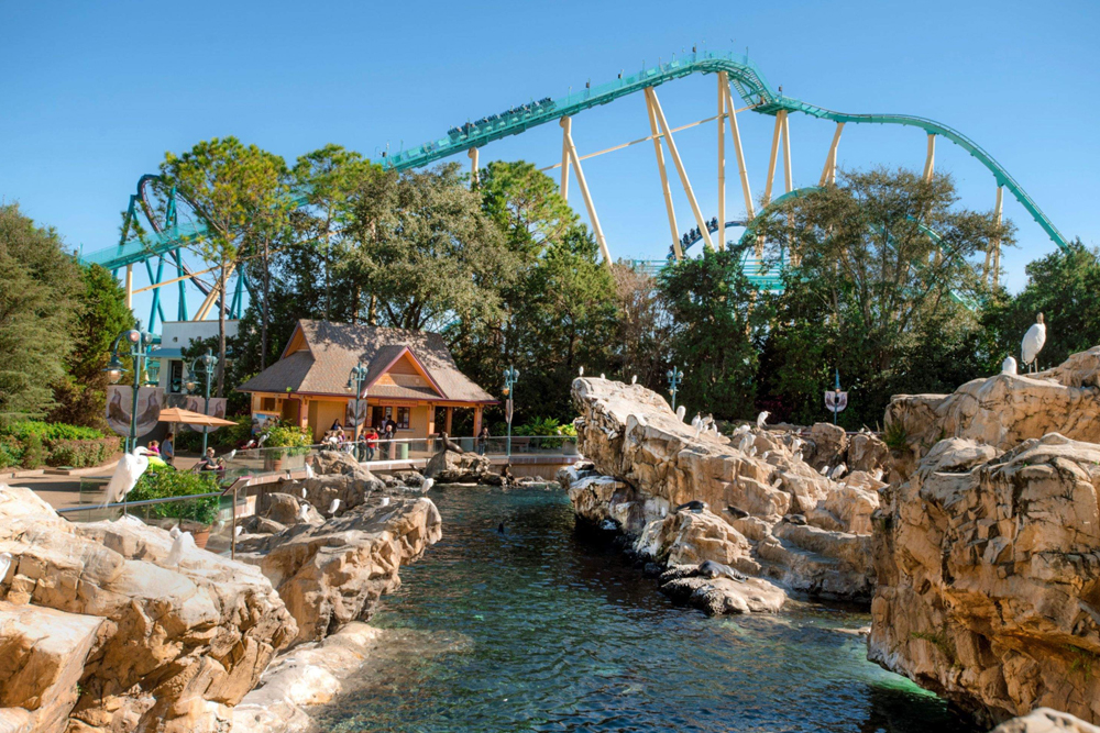 SeaWorld Orlando - Image 6 of 9