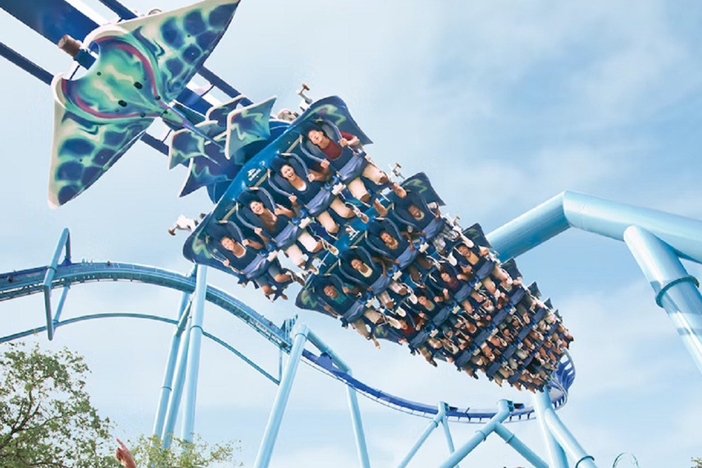 SeaWorld Orlando - Image 9 of 9