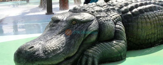 Gatorland Orlando - The Alligator Capital of the World-JTR Holidays