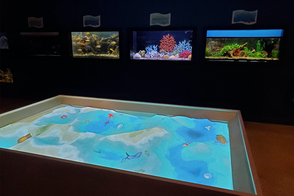 拉斯维加斯自然历史博物馆 - 图片 1 的 5