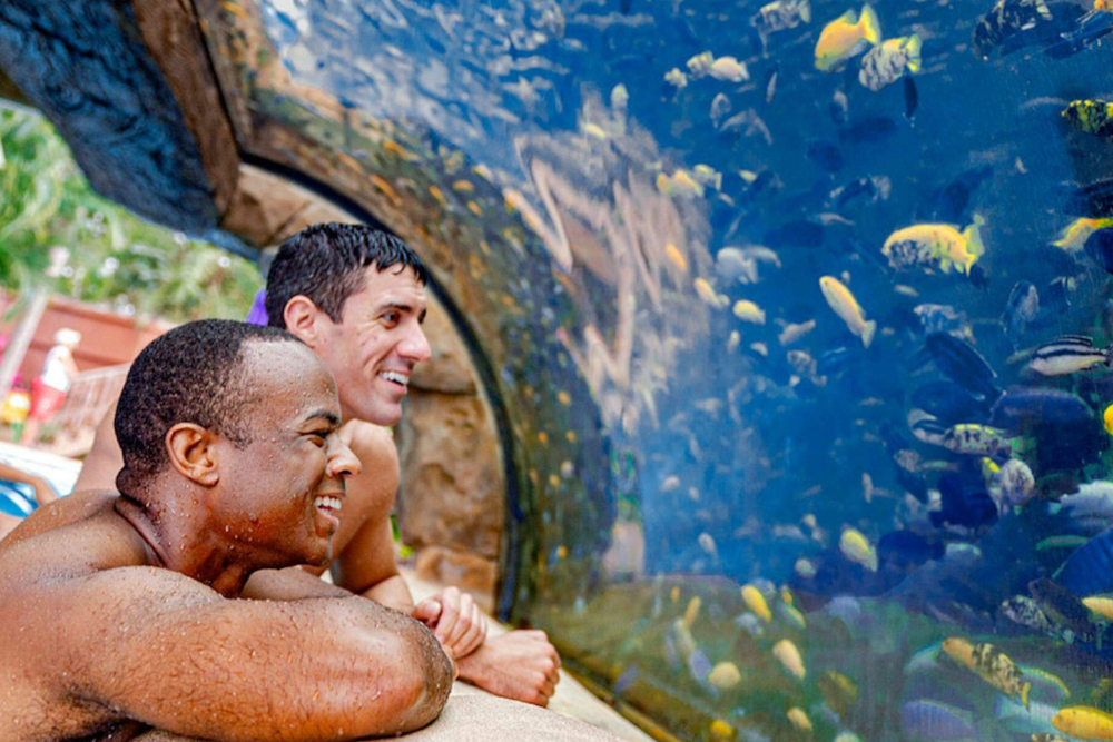 Aquatica Orlando - Image 2 of 5