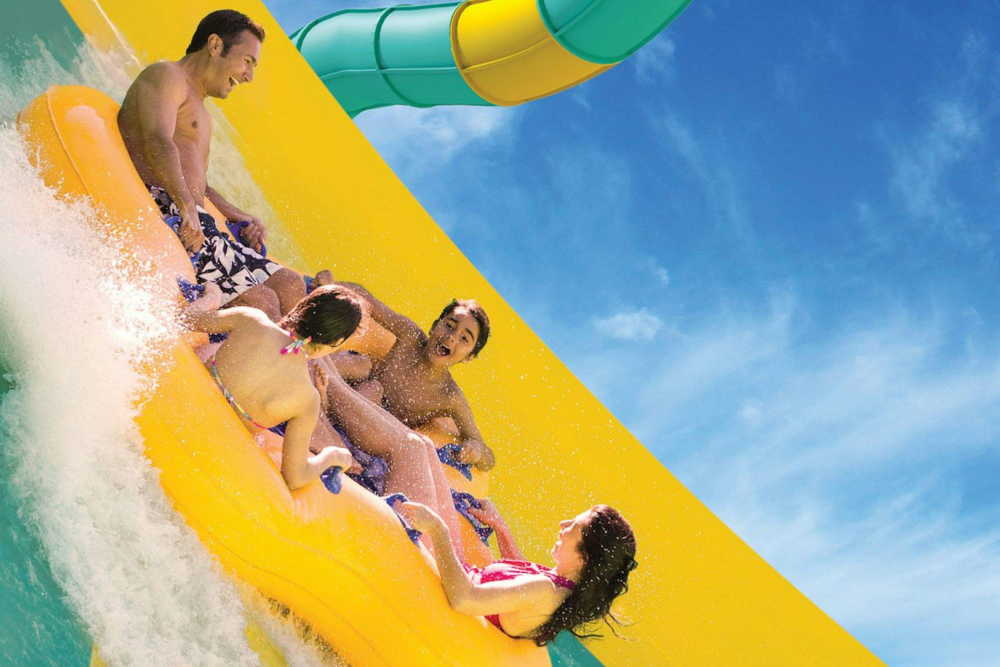 Aquatica Orlando - Image 4 of 5