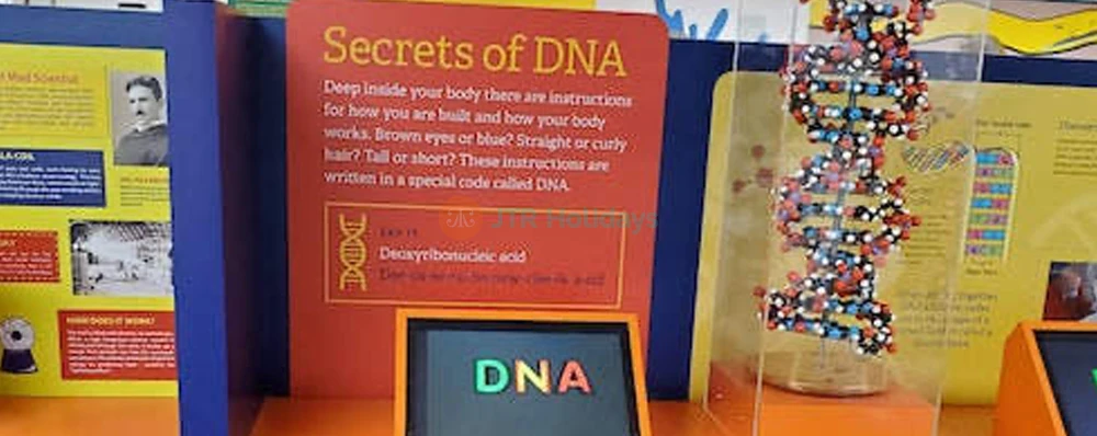 Las Vegas Natural History Museum: Explore Wildlife & Fossils - JTR Holidays - Image 4 of 5