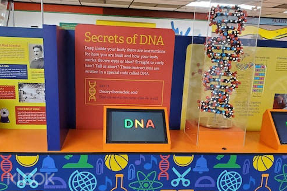 拉斯维加斯自然历史博物馆 - 图片 4 的 5