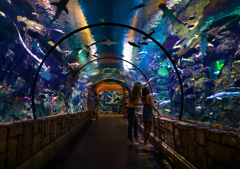 Shark Reef Aquarium at Mandalay Bay