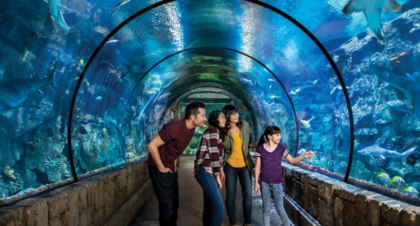 Shark Reef Aquarium at Mandalay Bay: Dive into a Marine Adventure - JTR Holidays