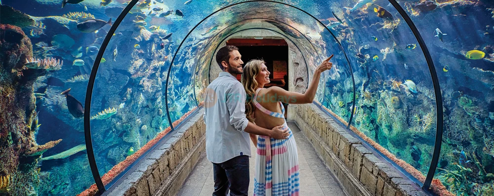 Shark Reef Aquarium at Mandalay Bay - Image 4 of 5