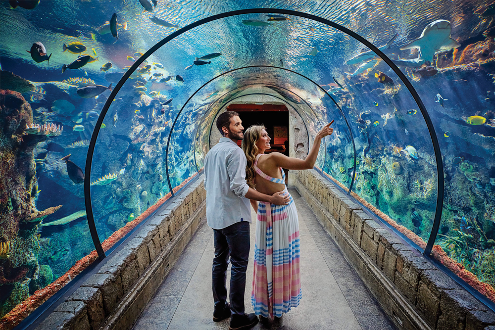 曼德勒湾鲨鱼礁水族馆 - 图片 4 的 5