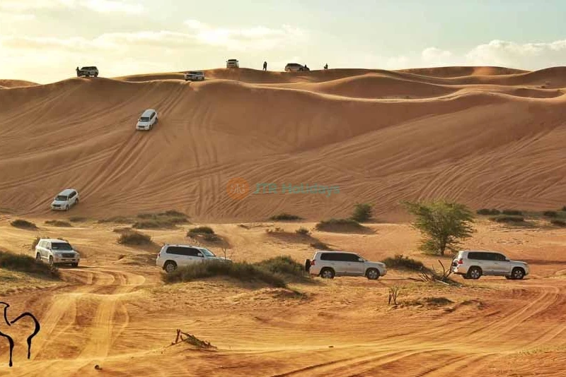 Desert Safari Ras Al Khaimah - Image 7 of 9