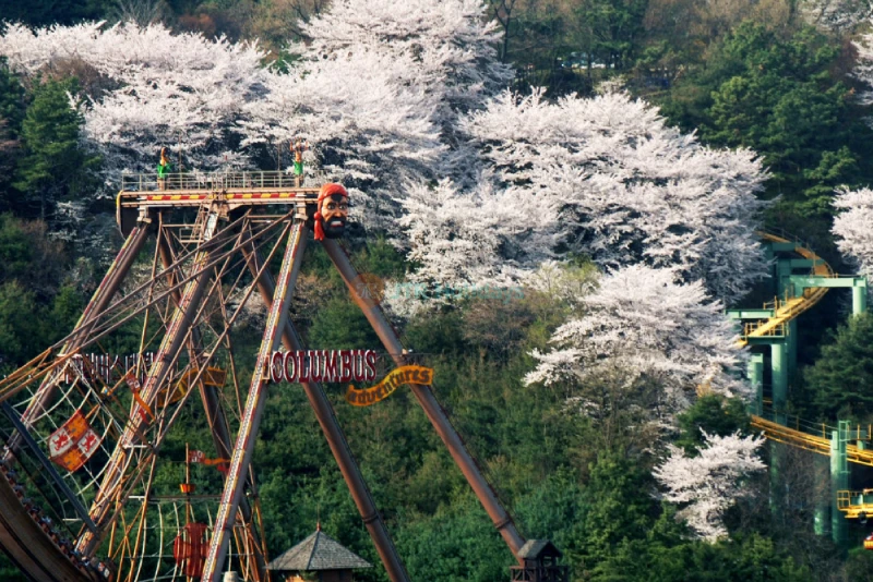 Everland Theme Park Gyeonggi - South Korea's Largest Adventure Destination - JTR Holidays - Image 8 of 10