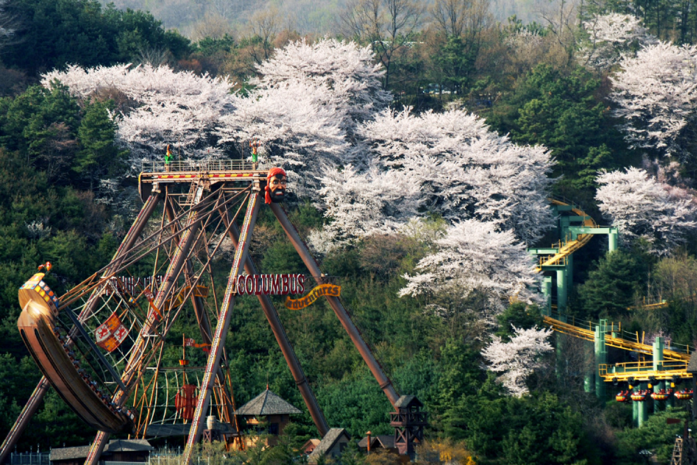 Everland Theme Park Gyeonggi - Image 8 of 10