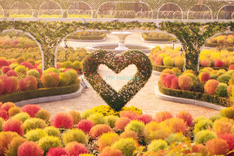 Everland Theme Park Gyeonggi - South Korea's Largest Adventure Destination - JTR Holidays - Image 10 of 10