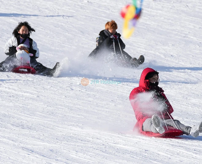 Seoul Land Theme Park - South Korea’s First and Favorite Adventure Spot - JTR Holidays - Image 2 of 5