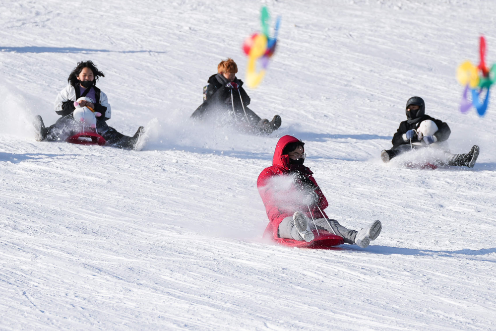 Seoul Land Theme Park - Image 2 of 5