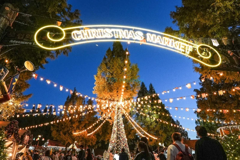 Seoul Land Theme Park - South Korea’s First and Favorite Adventure Spot - JTR Holidays - Image 8 of 8