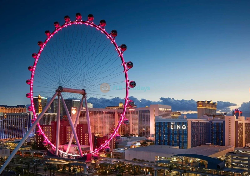 Biglietto High Roller a Las Vegas
