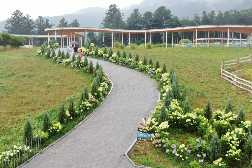 Gyeonggi Sheep Ranch - Image 7 of 7