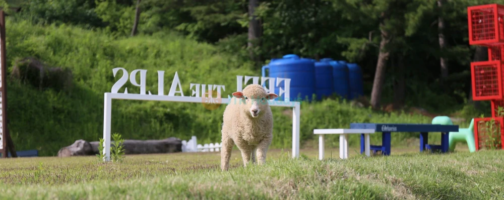 Parque Temático Suizo Gyeonggi Edelweiss - Image 4 of 8