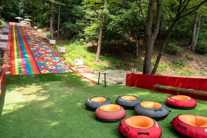 Gyeonggi Edelweiss Swiss Theme Park - Swiss Charm and Nature in Korea - JTR Holidays - Image 8 of 8