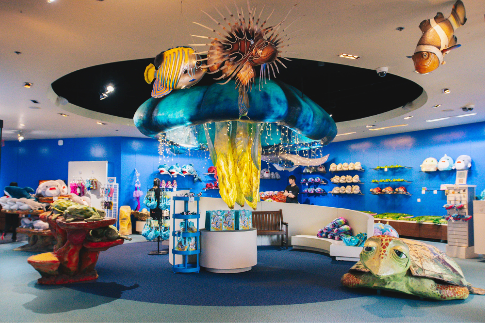 Aquarium of Guam - Image 1 of 6